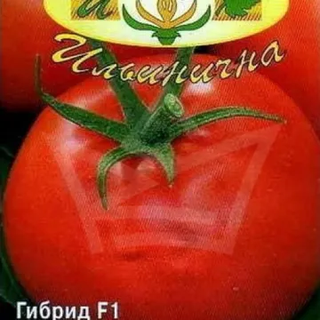 Вологда Град