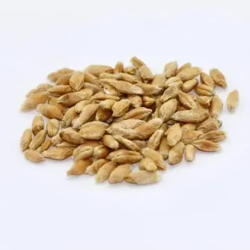 Свислочь