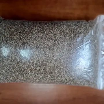 Кентавр
