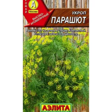 Парашют