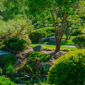Landscape Design