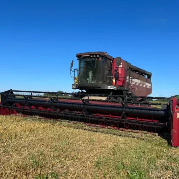 Grain Harvesting