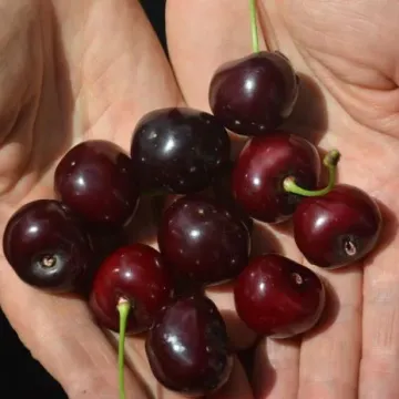 Приметная