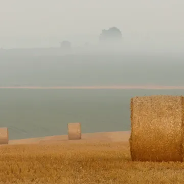 Булат