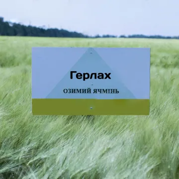 Герлах