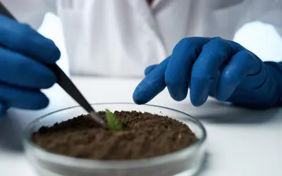 Chemical analysis of soil and popular research methods