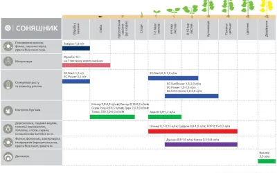 Поради щодо захисту соняшнику, засновані на застосуванні ЗЗР