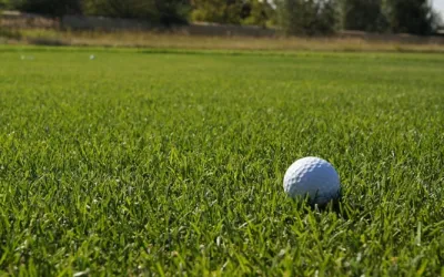 Rolling Lawns for Sports Grounds