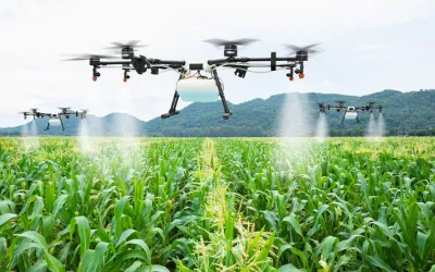 Effective Use of Drones in Agriculture