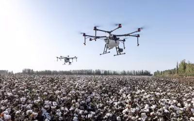 Переваги застосування агродронів Agro Aero у сільському господарстві