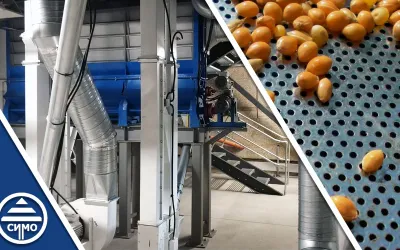 DO YOU WANT TO CREATE A PROFITABLE RICE MILL?