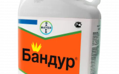 Technical Aspects of Using Bandur: Proper Spraying and Soil Preparation