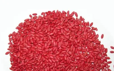 List of Seed Treatments for Wheat and Their Purposes
