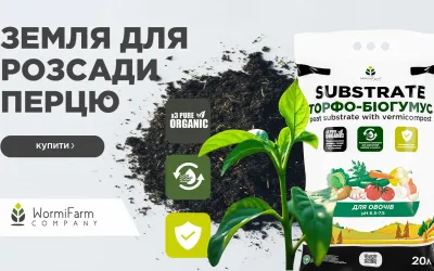 How to choose a substrate for pepper - advice from an agronomist