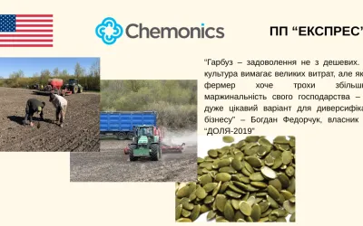 From scratch to its own brand: How DOLYA-2019 Farm is building a niche agribusiness on pumpkin seeds