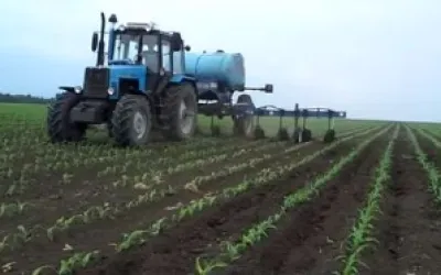 Biological Fertilizers: A New Era of Healthy Nutrition