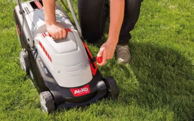 Choosing a Lawn Mower: All Parameters of Modern Wheeled Models