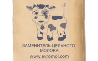 Dry Milk Serum: Features of Use and Production