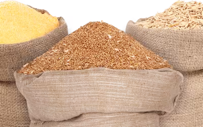 How to Profitably Buy or Sell Wheat in Ukraine