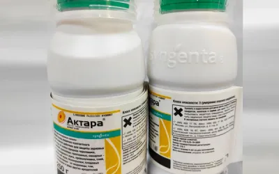 Как работает инсектицид «Актара» от производителя Syngenta