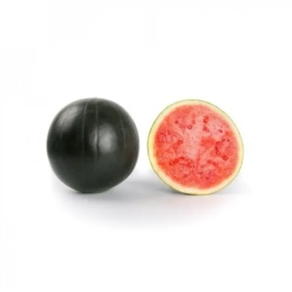 Черный арбуз Amaltea, целый и разрезанный плод на белом фоне - АМАЛЬТЕА