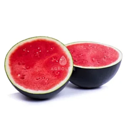 Срезанный арбуз на белом фоне - Амалтея