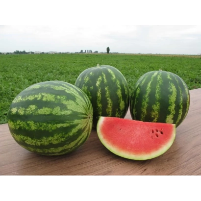 Три цілих арбузи та один нарізаний на дерев'яній дошці на фоні зеленого поля - Трофі F1