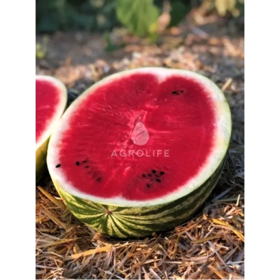 Срезанный арбуз сорта Батукан F1 на соломе