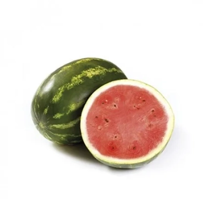 Арбуз целый и разрезанный на белом фоне - Бретона