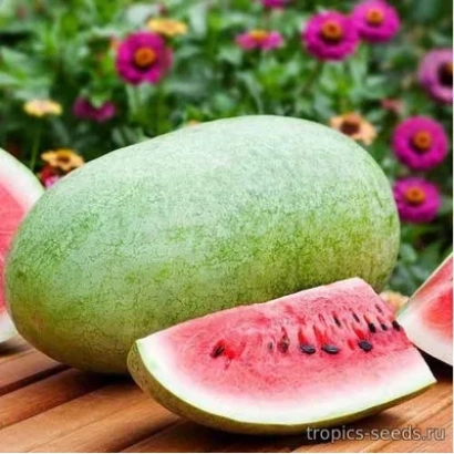 Арбуз на деревянной поверхности с цветочным фоном - ЧАРЛЬСТОН ГРЭЙ