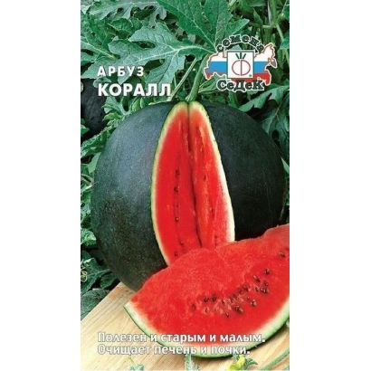 Семена арбуза Коралл на фоне листьев - Коралзиньу