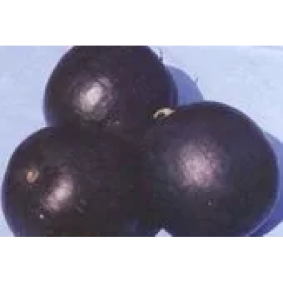 Три темных арбуза на светлом фоне - ЧОРНОГОРЕЦЬ