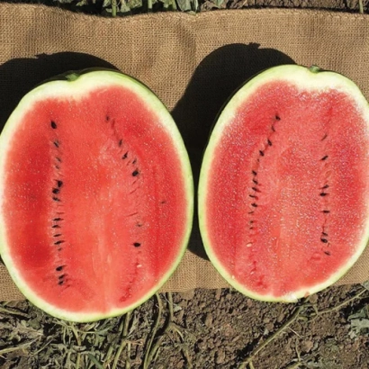 Две половинки арбуза с красной мякотью и чёрными семечками на земле - ЭПИКА