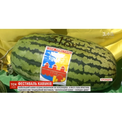 Арбуз с этикеткой «Голопристанский»