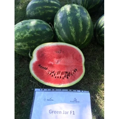 Арбуз Green Jar F1 на траві з розрізаним плодом - ГРІН ДЖАР