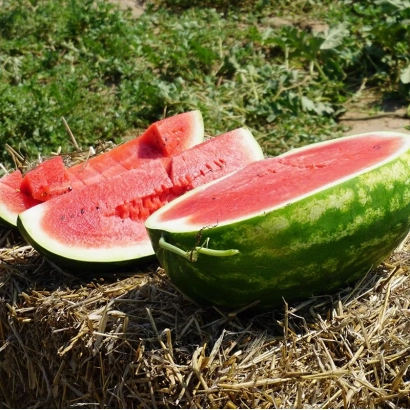 Срезанный арбуз на сене - Карминный