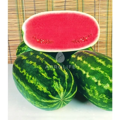 Срезанный арбуз КЕНДИ и два целых арбуза на белом фоне