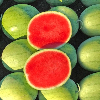 Арбуз Колибри — разрезанный плод с ярко-красной мякотью среди целых плодов