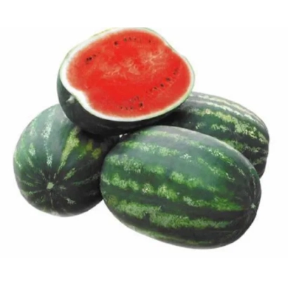 Арбуз Crimson Ruby F1 — целые и разрезанный плод на белом фоне - КРИМСОН РУБИ F1