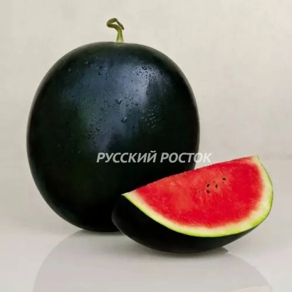 Арбуз с надписью РУССКИЙ РОСТОК - ЛАНТА