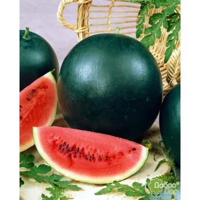 Арбуз МАКС ПЛЮС на фоні плетеної кошика