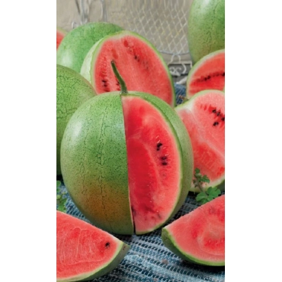 Watermelon, sliced into wedges, with green rind and red flesh - RASPBERRY FROSTED MELON