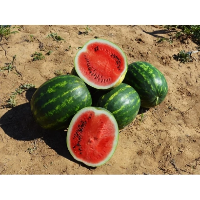 Арбузы на земле, один разрезан, видна мякоть - Маристо