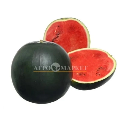 Арбуз МУЛАТ | MULAT в разрезе и целиком на белом фоне