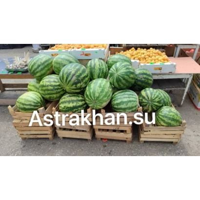 Арбузы Астрахань на деревянных поддонах - НОВИНКА АСТРАХАНИ