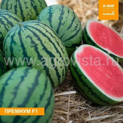 Арбузи Преміум F1 на сіні - Прем'Єр