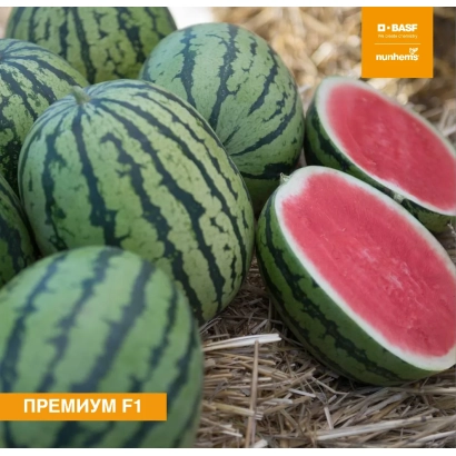 Арбузы Премиум F1 на соломе