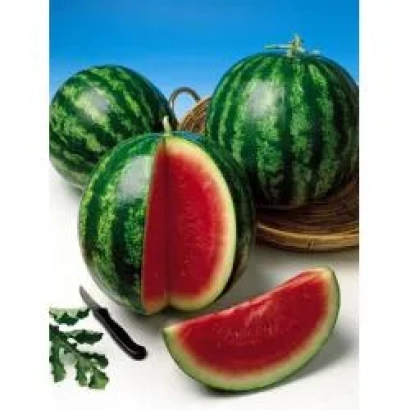 Арбуз Ройал Кримсон Свит — целые и нарезанные плоды на белом фоне