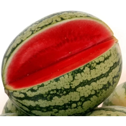 Красный арбуз с характерной сетчатой кожурой - Самурай
