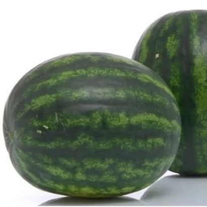 Два арбуза на белом фоне - Сармат